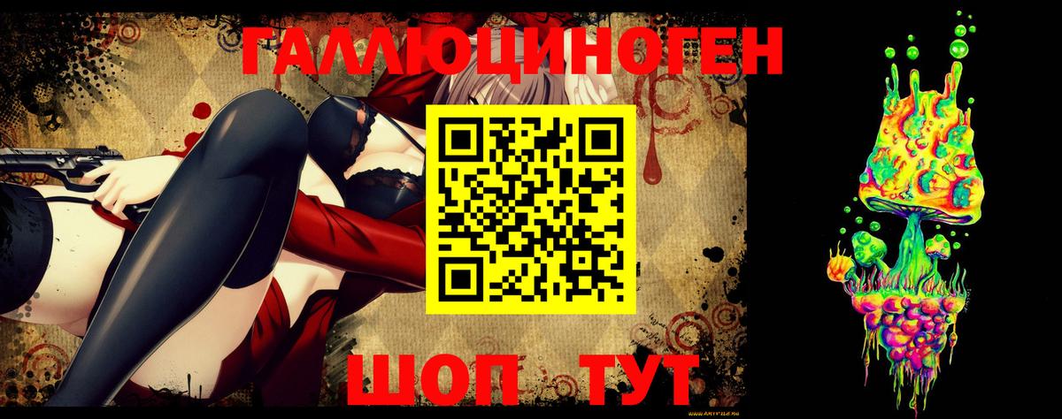 Псилоцибиновые грибы Psilocybe  Вход с VPN  Борисоглебск 